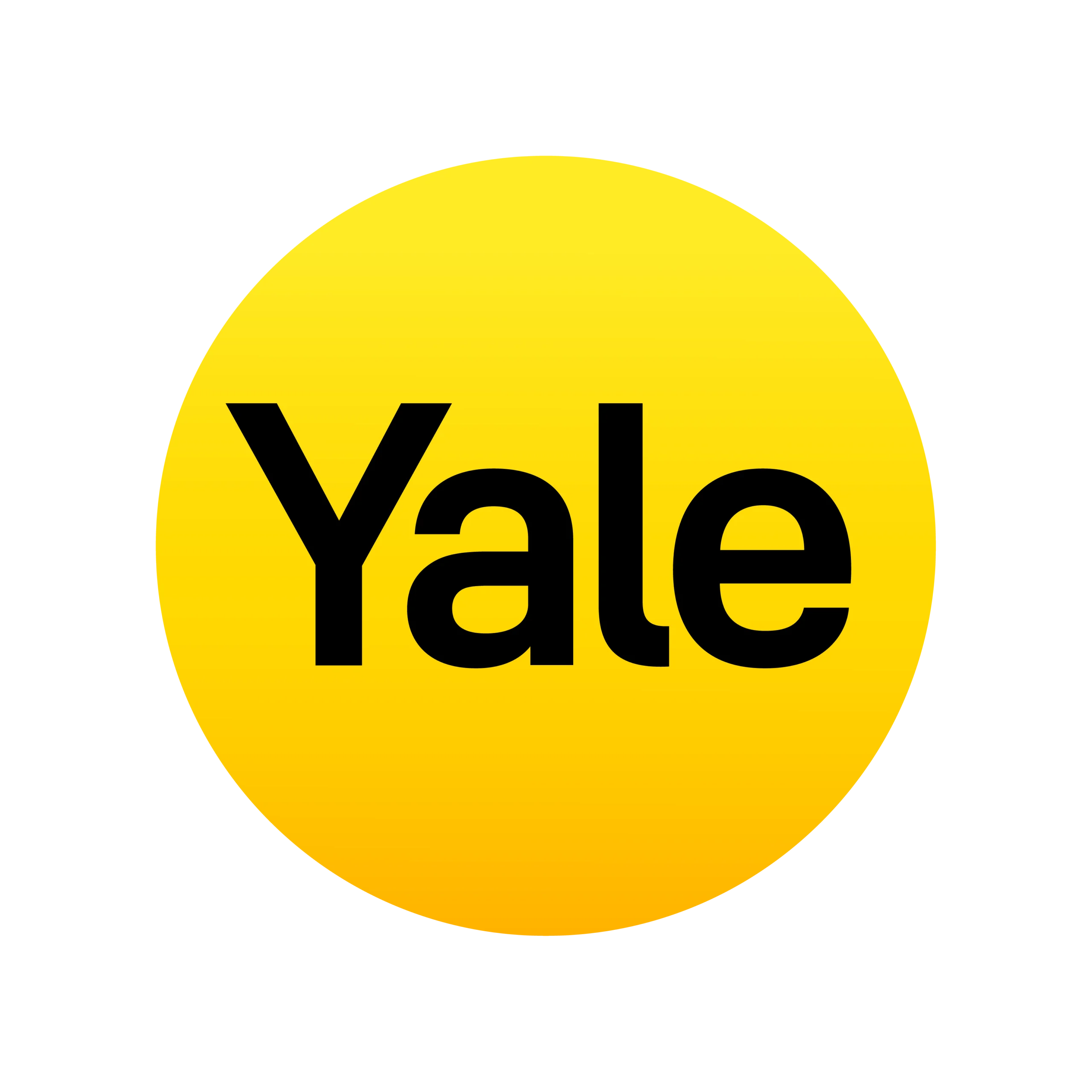 Kit Yale YMF30 Hub "Gratis EchoPop" - Imagen 3